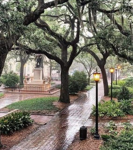 Tree-lined path with lamp posts at Duncan Park
